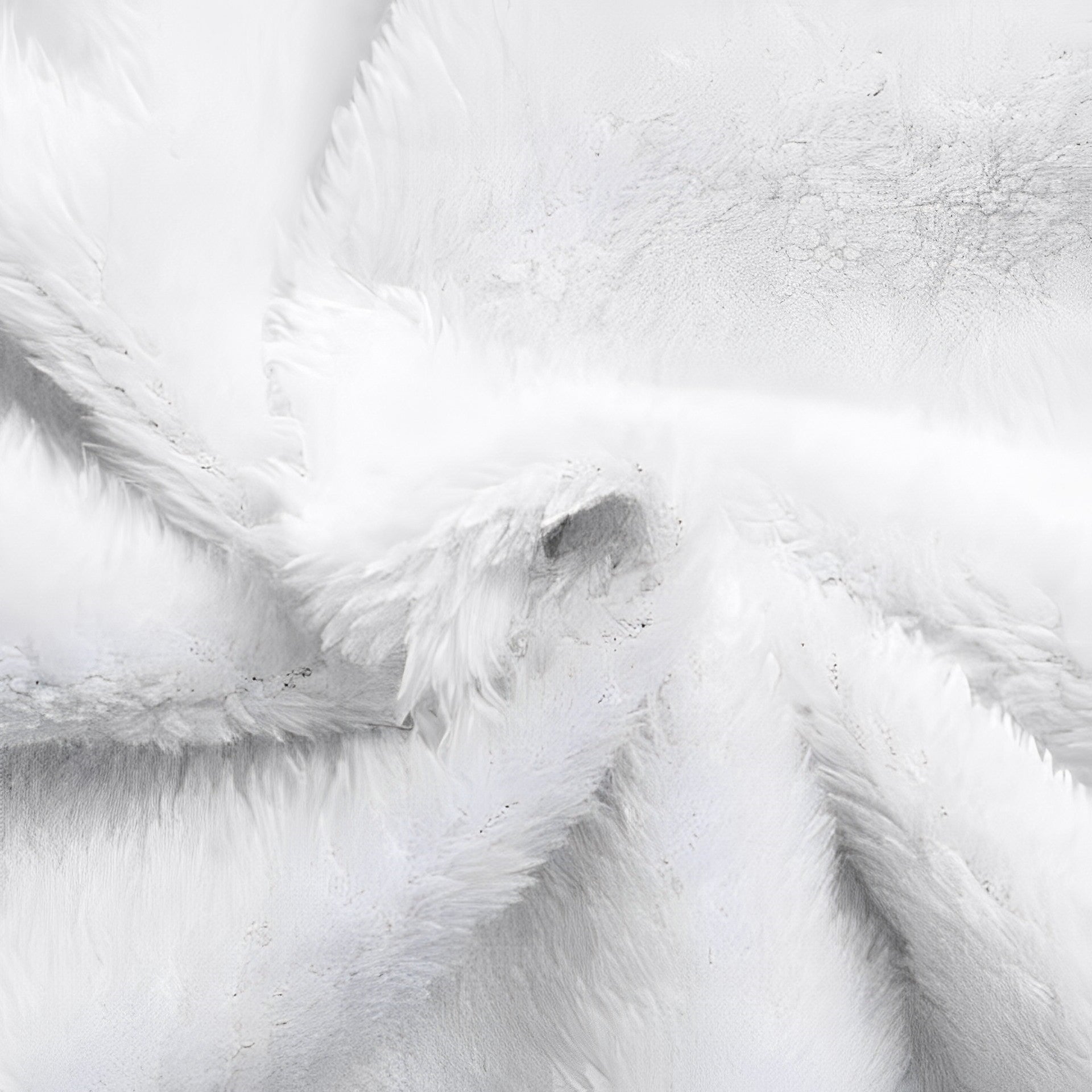 Wodoodporna Kurtka Przeciwdeszczowa Damska – Wygodna i Stylowa